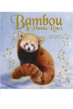 Bambou le Panda Roux