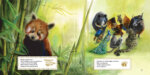 Bambou le Panda Roux – Image 3