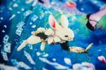 ~ Alice au pays des Merveilles ~ – Image 4