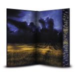 Les Ombres de l'Averse – Image 3